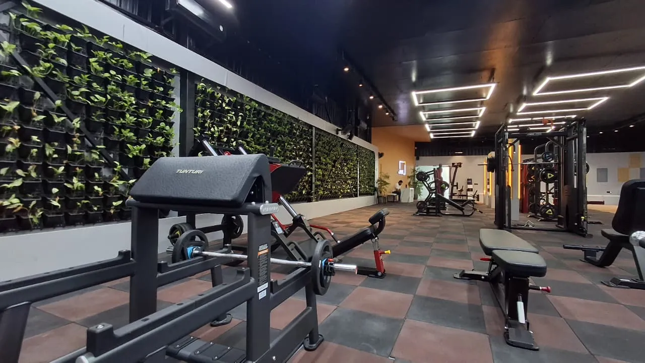 JNS Fitness Studio free weights