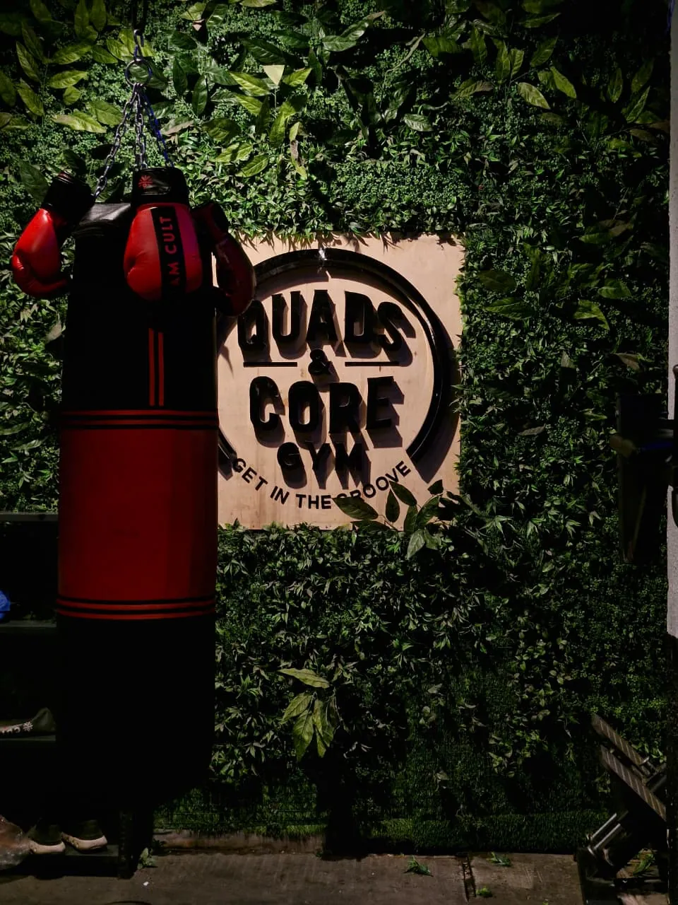 Quads And Core training zone