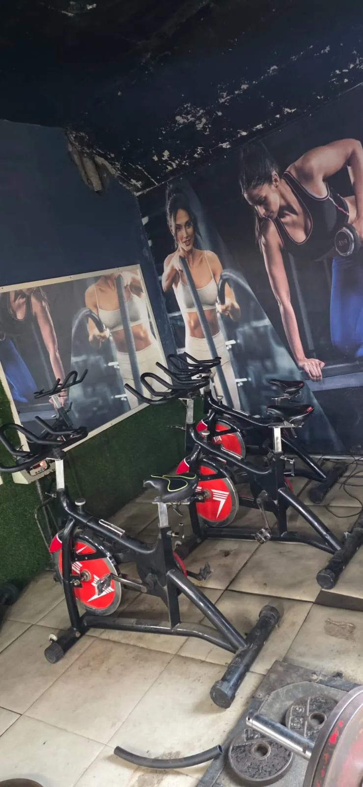 Olympia International Gym training zone
