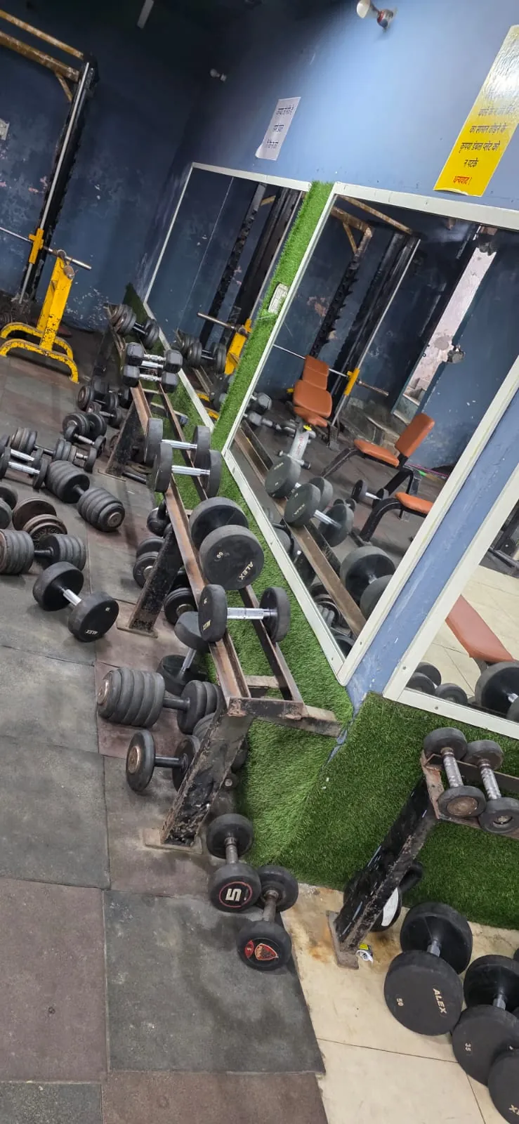 Olympia International Gym photo 7