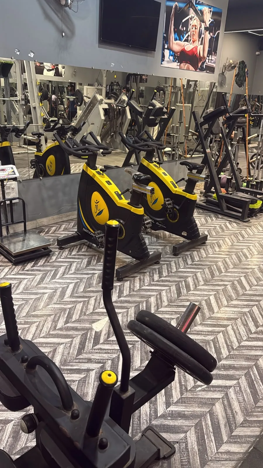 Iron Paradise Gym cardio deck