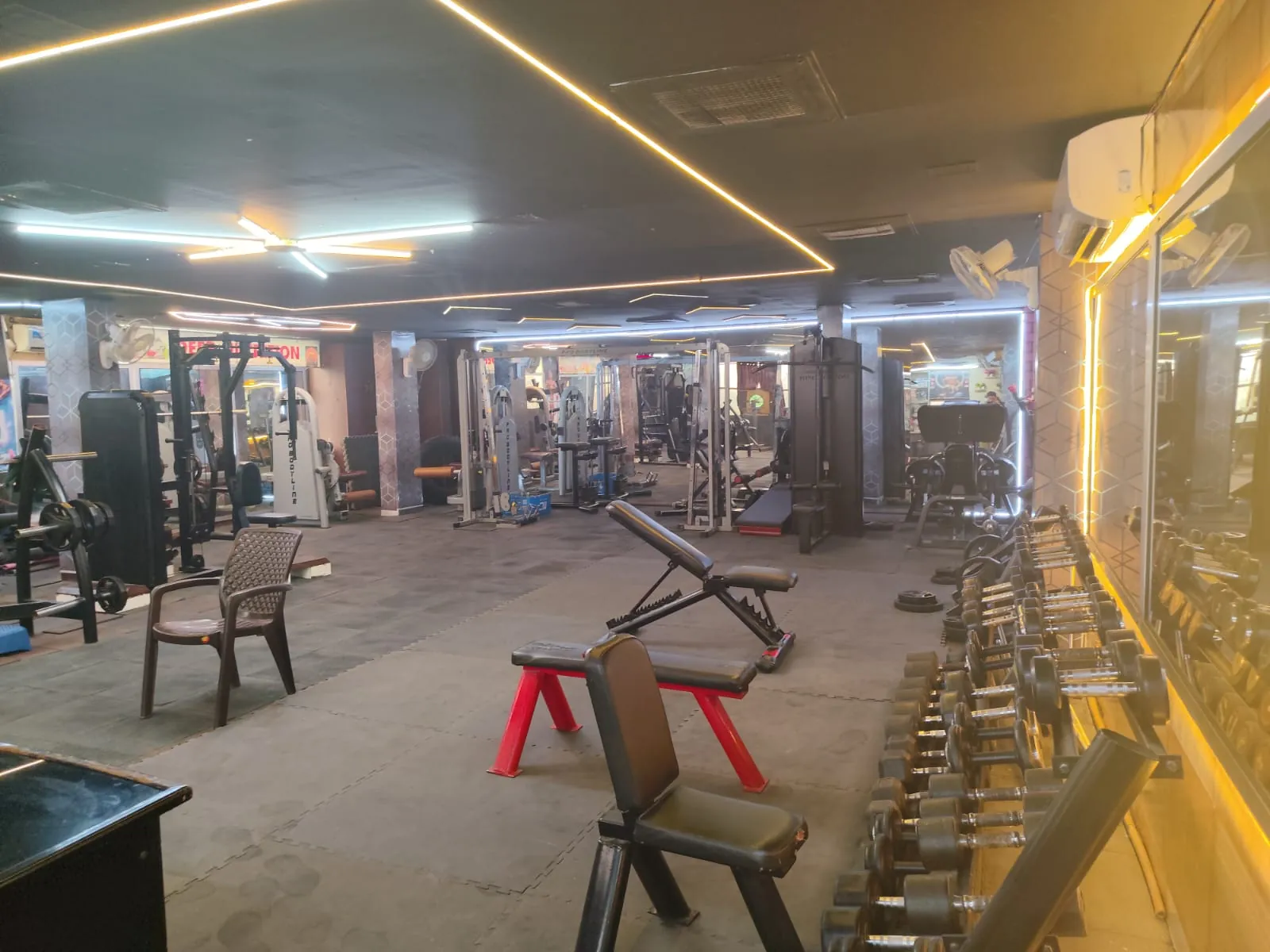 Dolphin X Fitness Shalimar Alwar photo 6