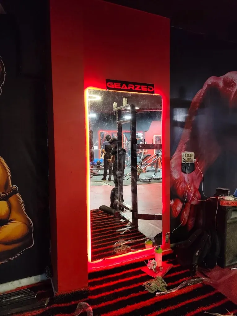 Fit Wolf Gym training zone