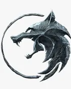 Fit Wolf Gym main floor