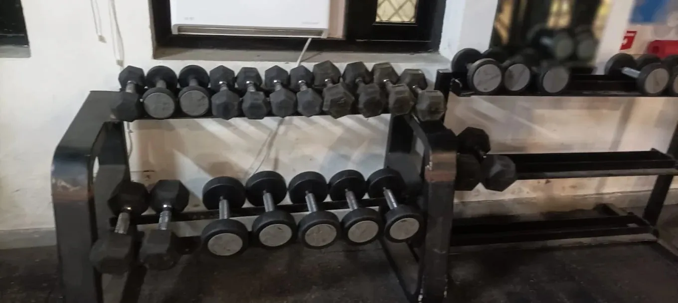 Muscle Fitness training zone