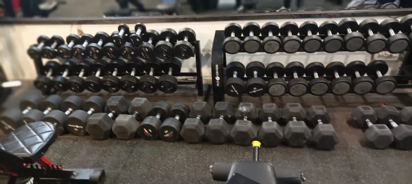 Muscle Fitness main floor