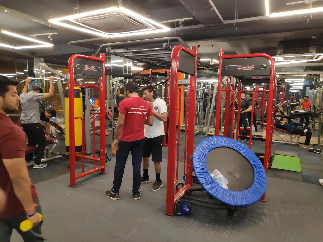 FitNest cardio deck
