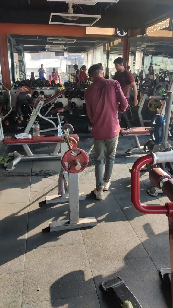 FitNest free weights