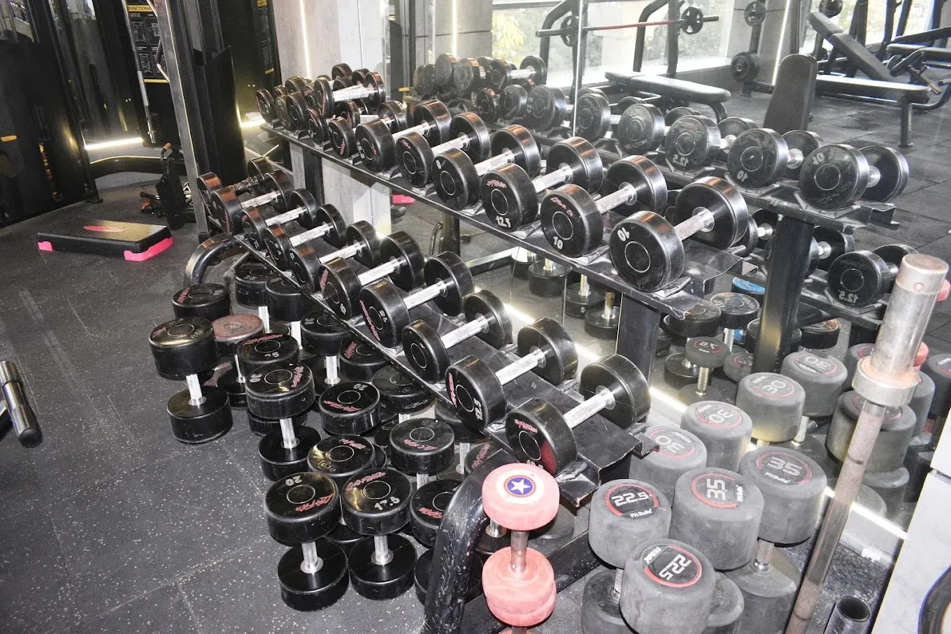 Fitness 19 free weights