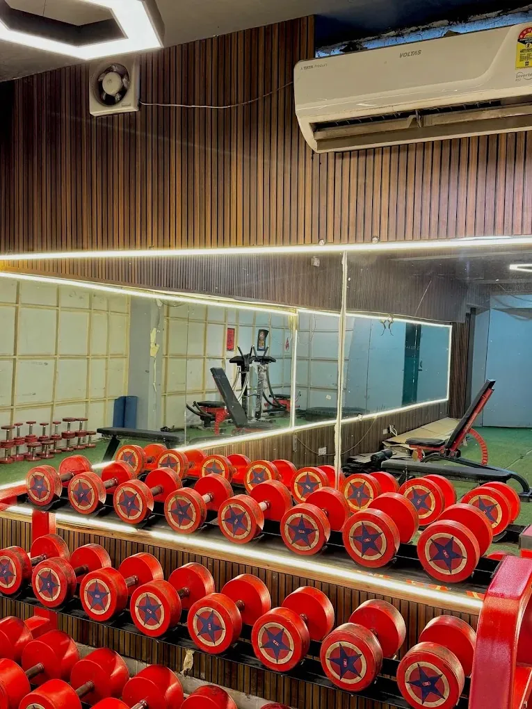 The Gymnasia photo 12