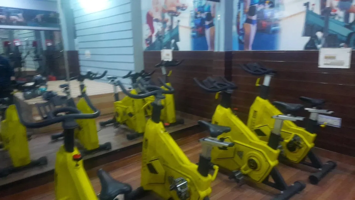 The Body Shape Gym free weights