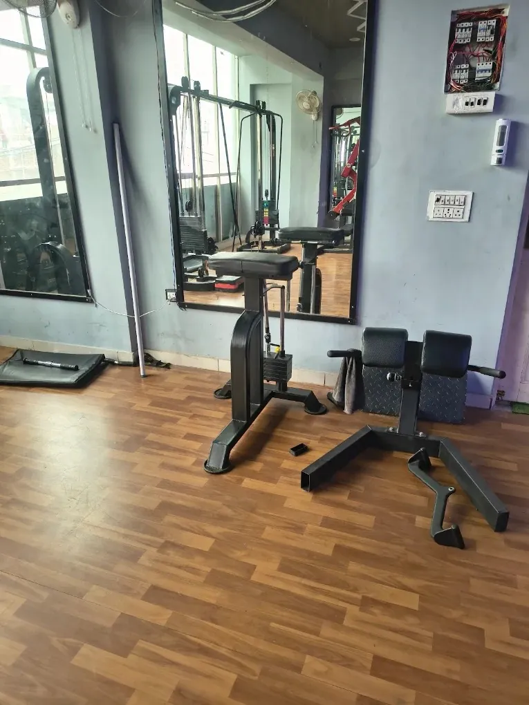 Enzo Fitness free weights