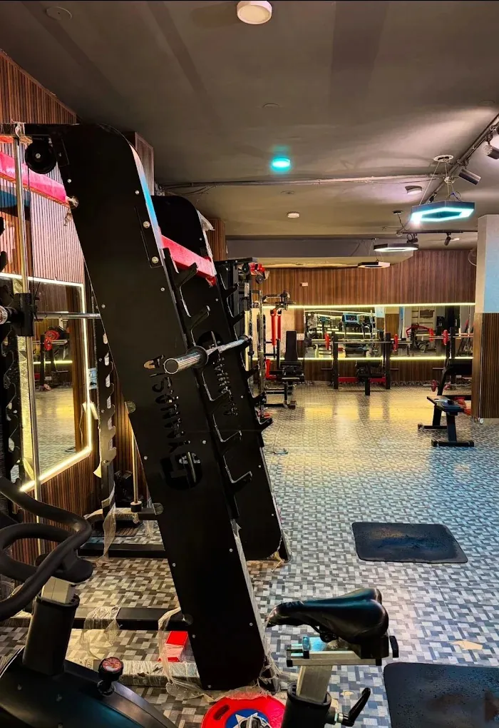 The Gymnasia free weights