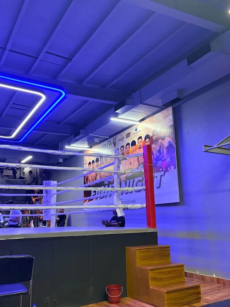 ShadowBox Studio training zone