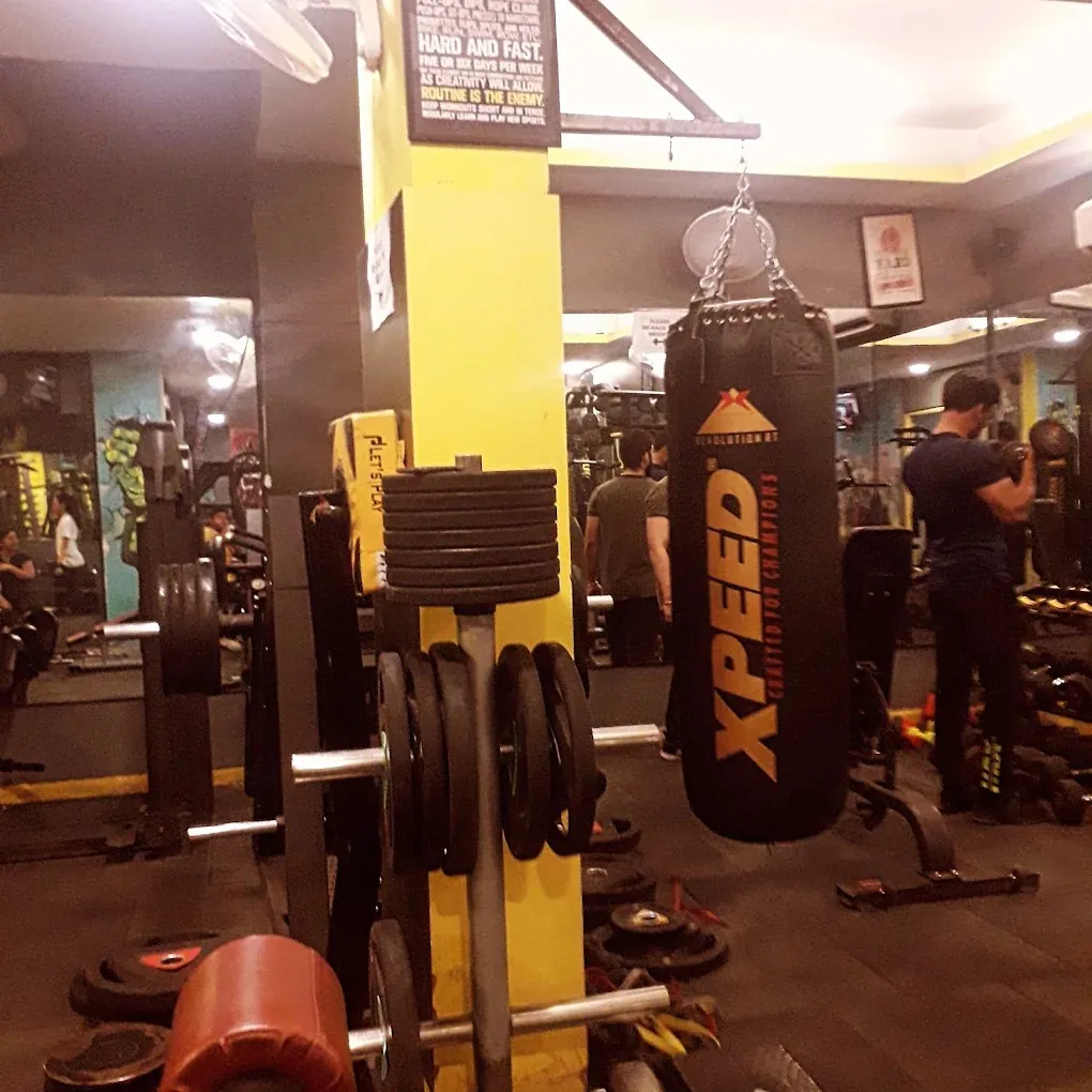 FitFactory gym personal fitness studio training zone