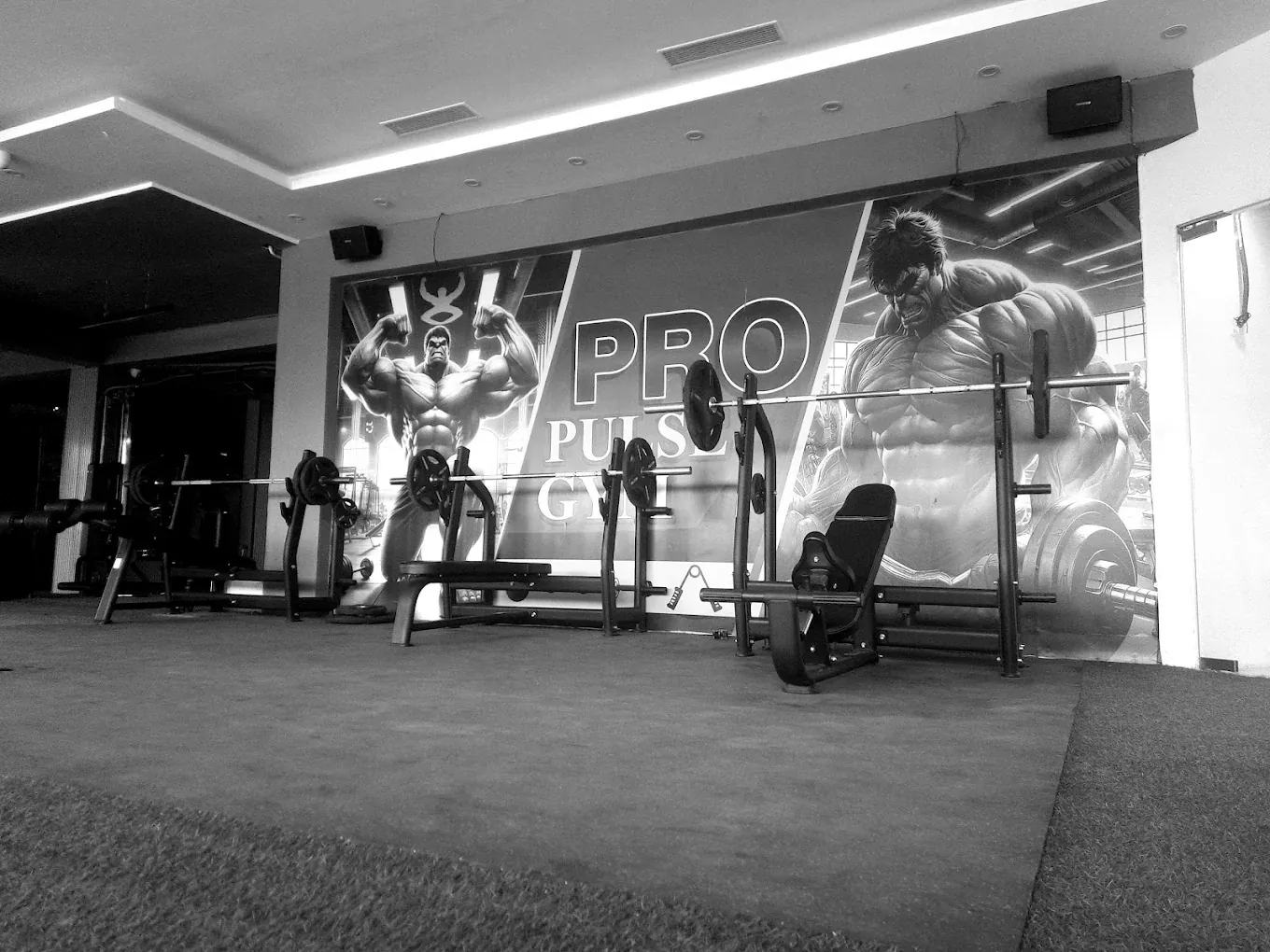 Pro Pulse Gym cardio deck
